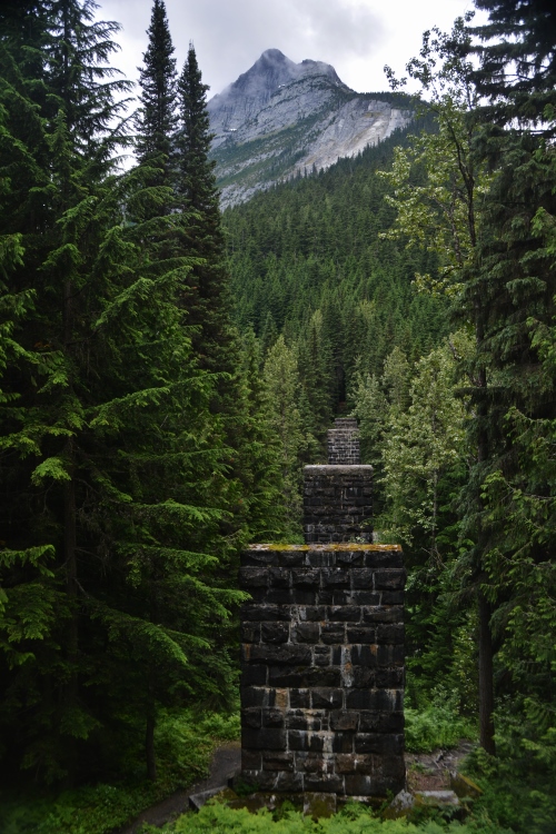 Loop Brook Trail
